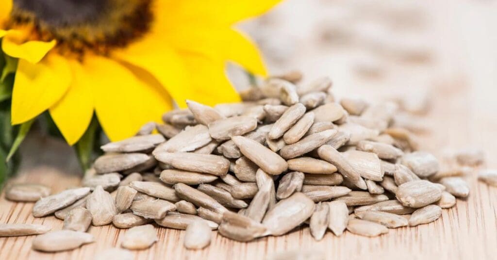 Harvest Sunflower Seeds