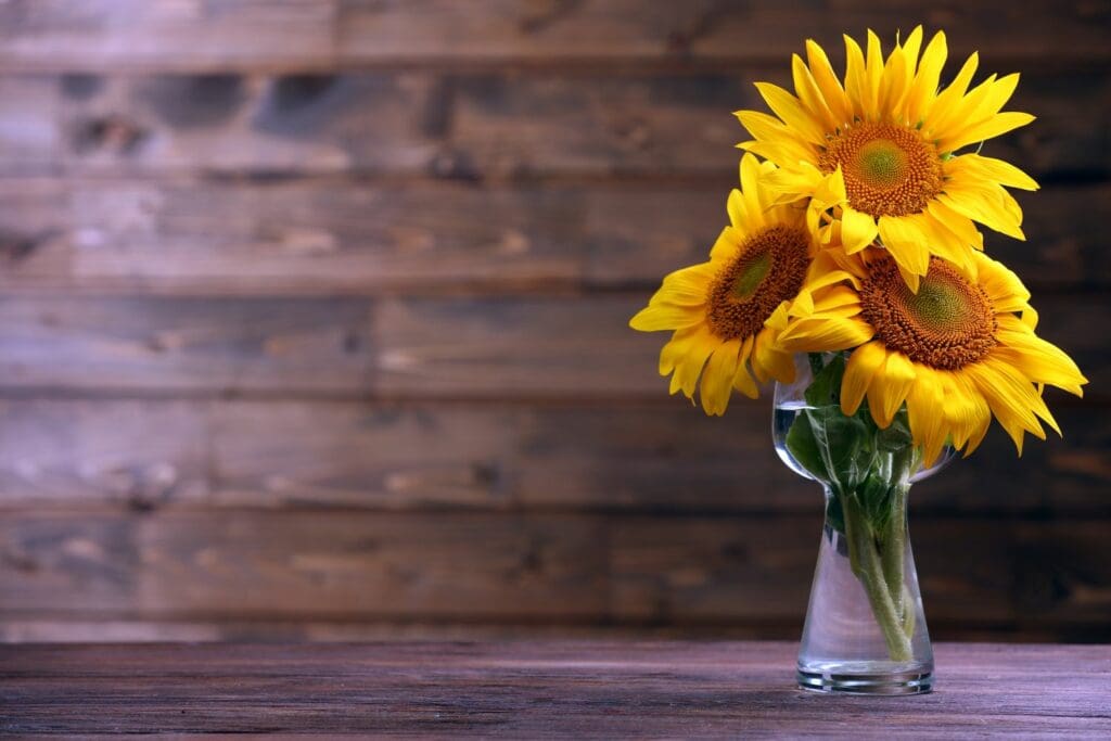 How to Care for Sunflowers in a Vase