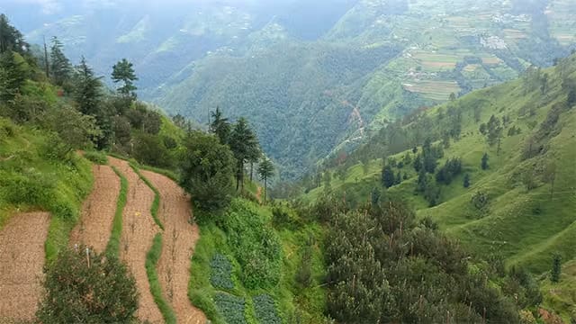 Cheog Shimla