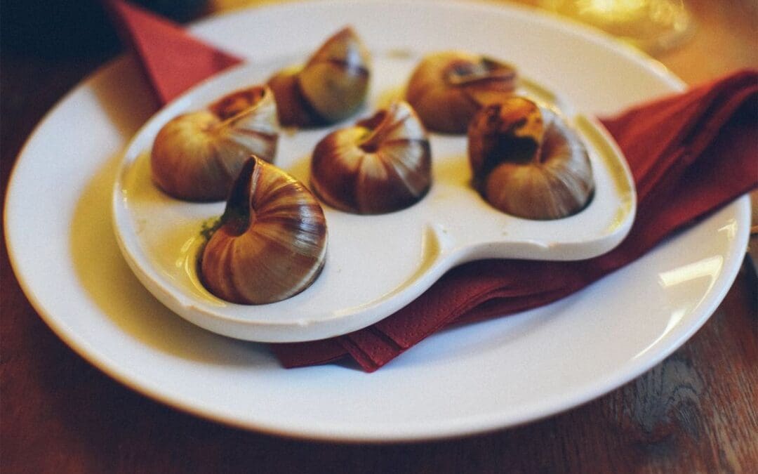 Gross Facts About Escargot: Make You Squirm