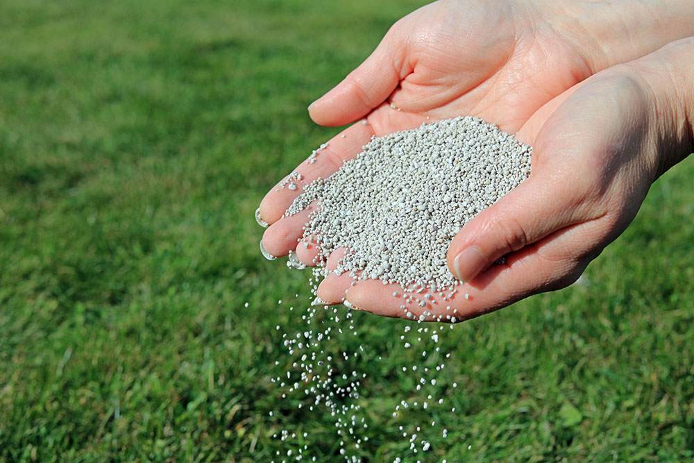 High Phosphorus Fertilizer for Lawns