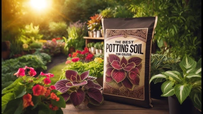 Miracle-Gro Potting Soil