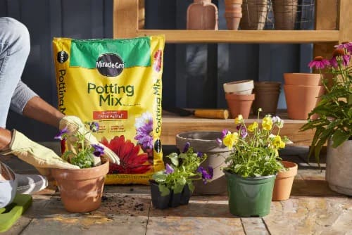 Miracle-Gro Potting Soil